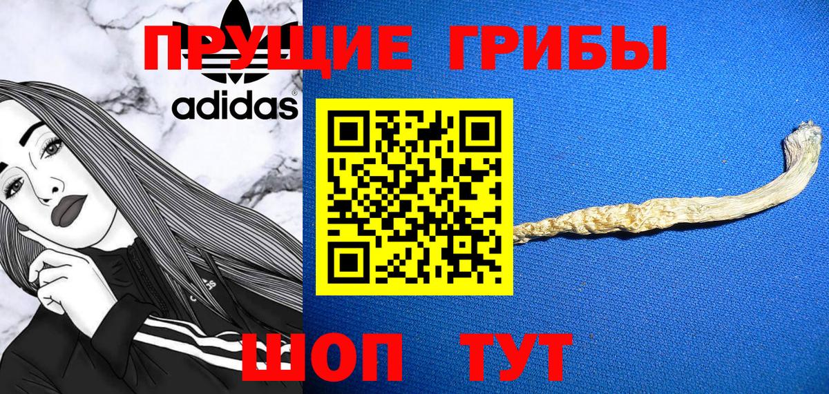 даркнет сайт  Галлюциногенные грибы Magic Shrooms  Вход с VPN  Урус-Мартан 